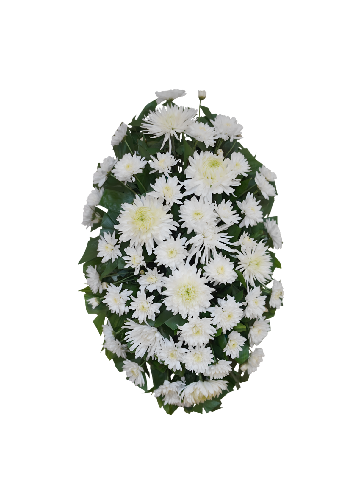 CR-01 Corona de pompones, crisantemos y spiders con cinta impresa