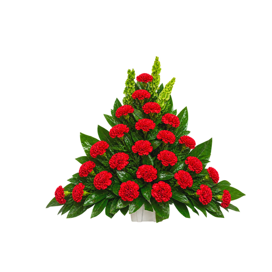 CN-02 Canasta funeral de claveles y campana de Irlanda