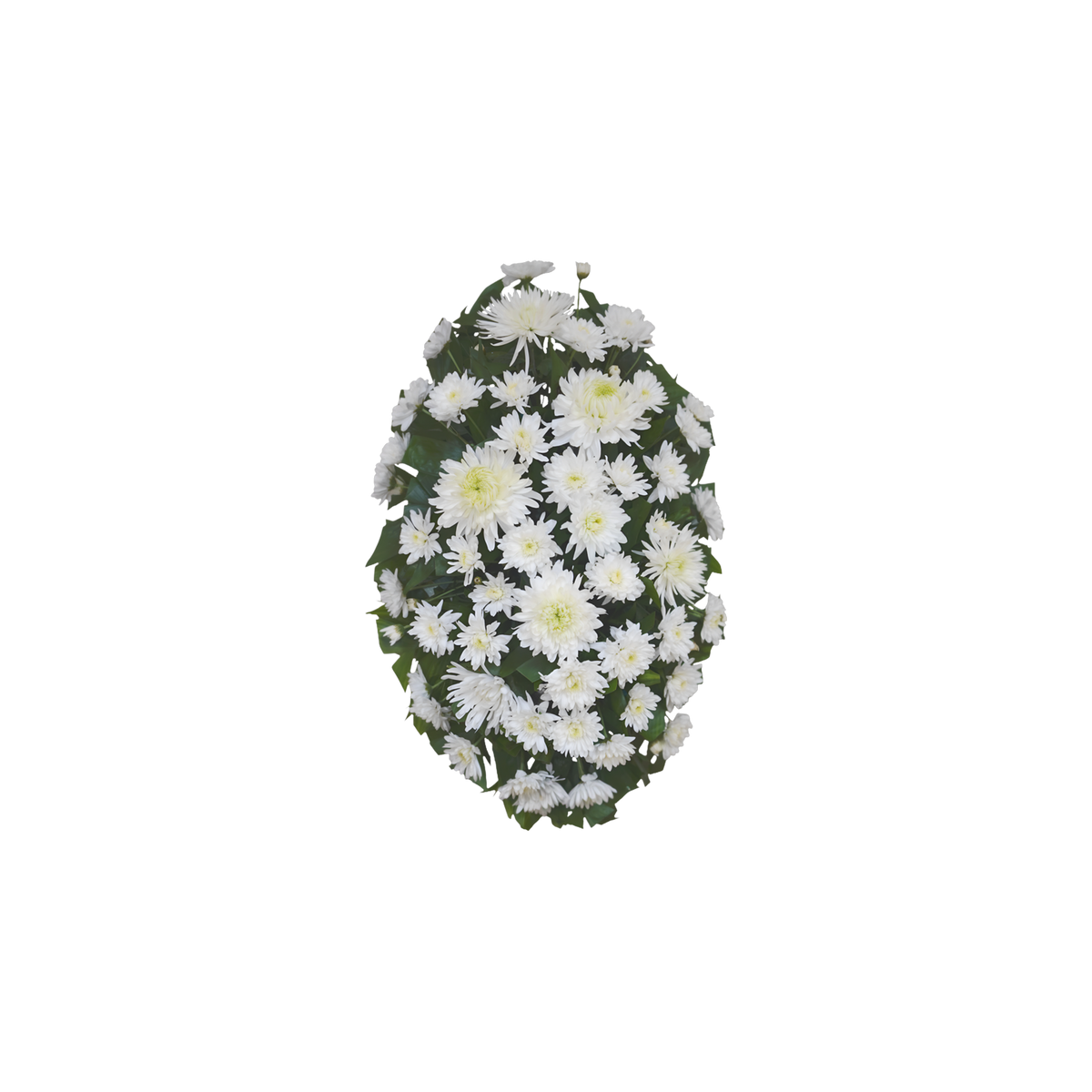 CR-01 Corona de pompones, crisantemos y spiders