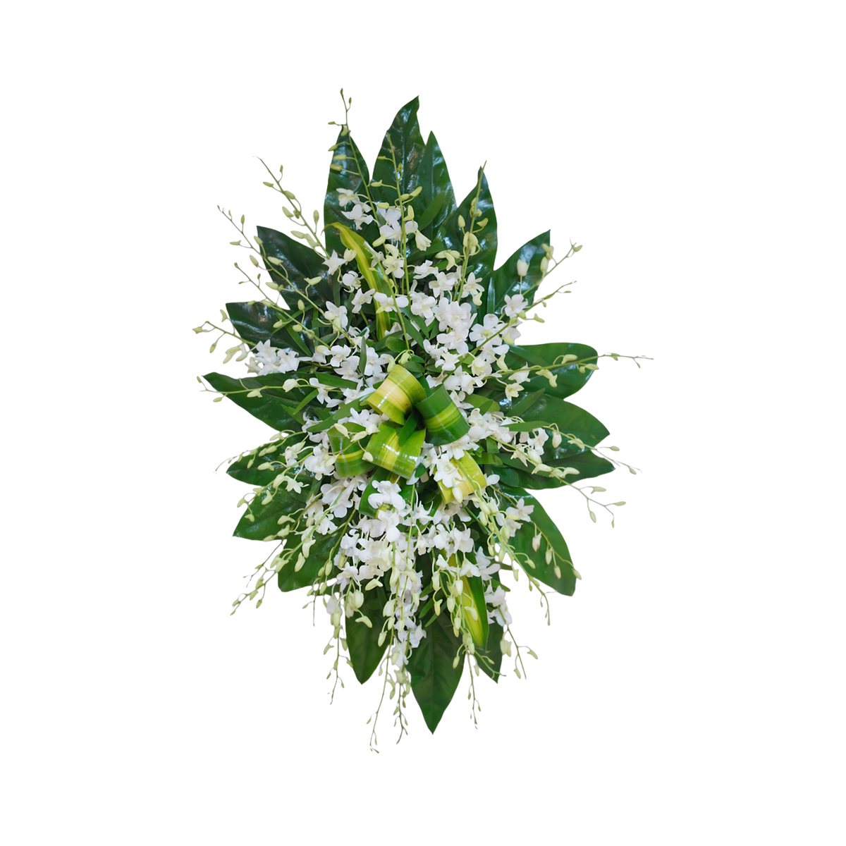 CR-19 Corona de orquídeas