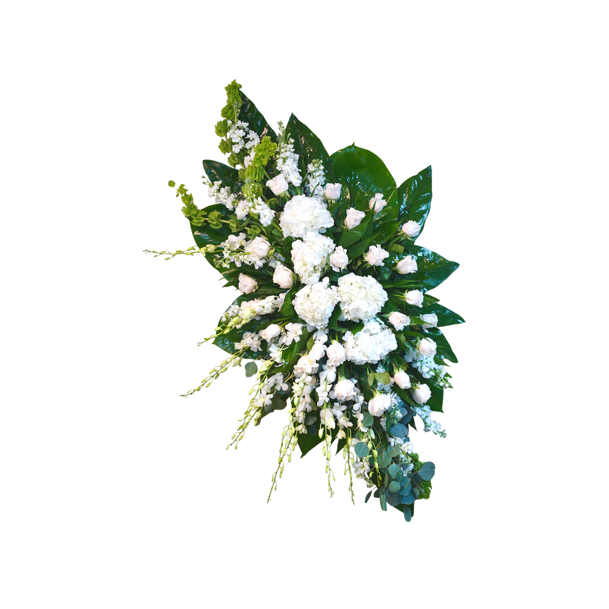 CR-21 Corona de rosas, orquídeas, hortensias, stocks y campana de Irlanda