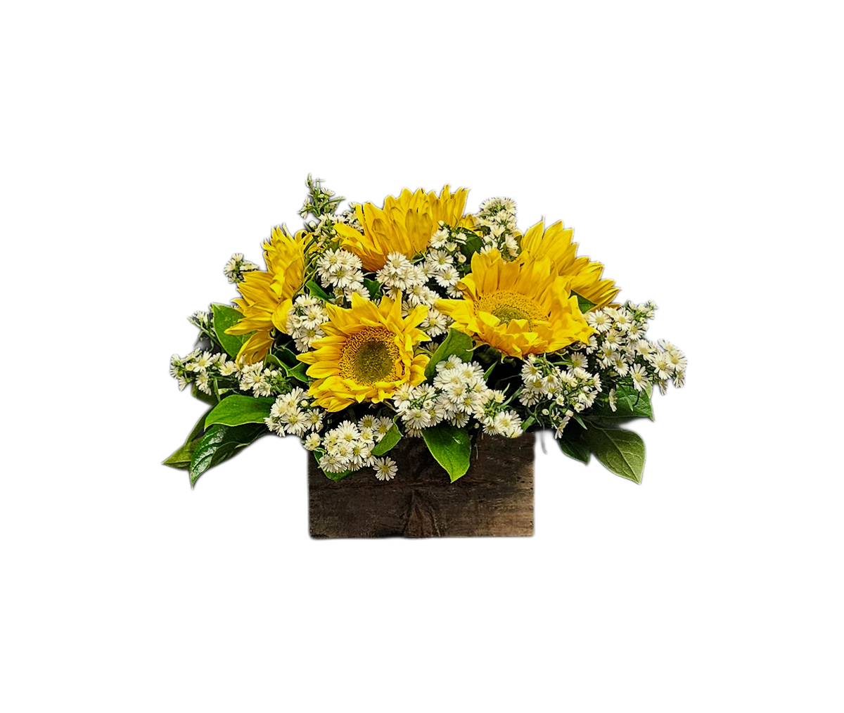 GT-20 Arreglo de girasoles