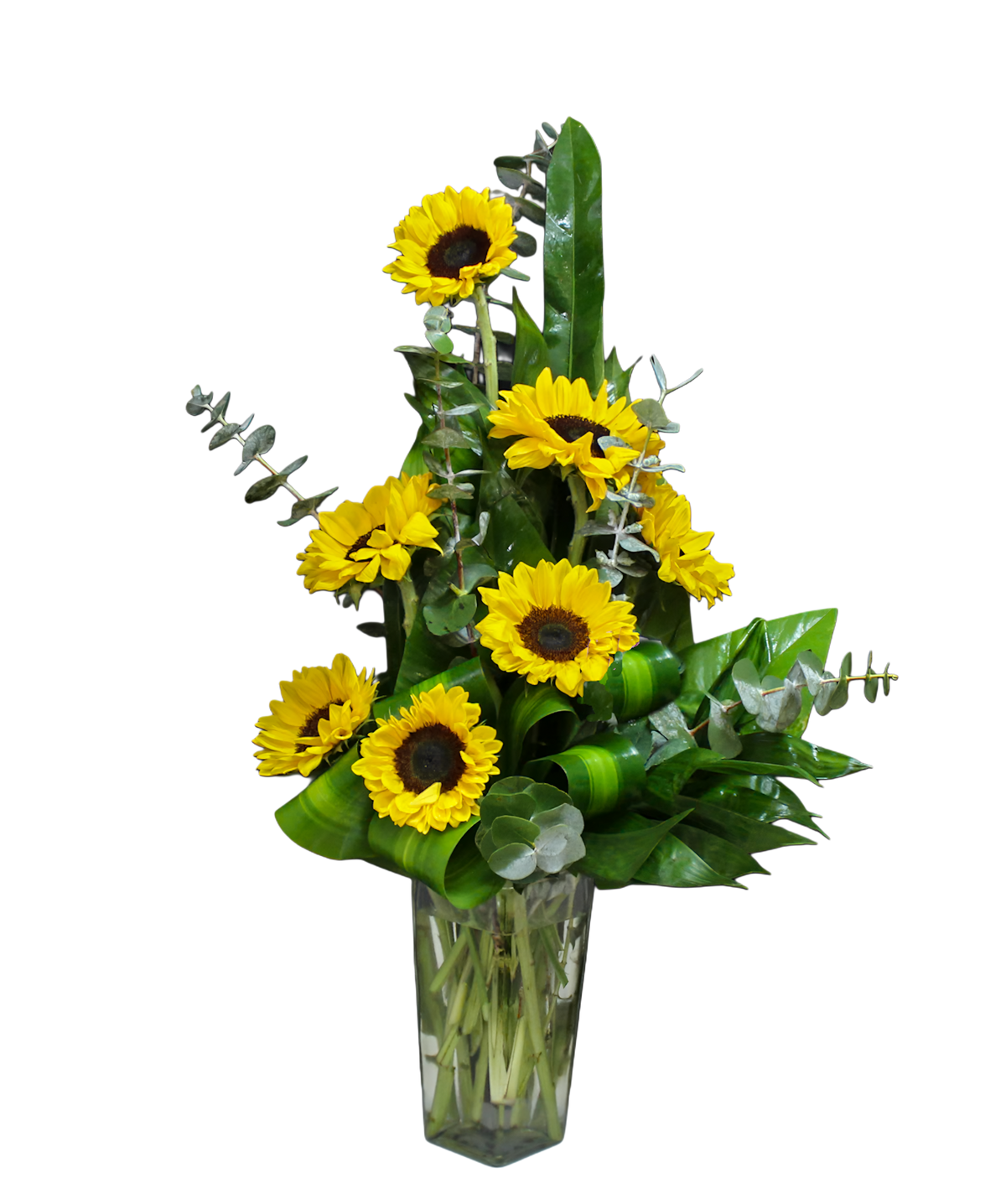 GT-6 Arreglo de girasoles