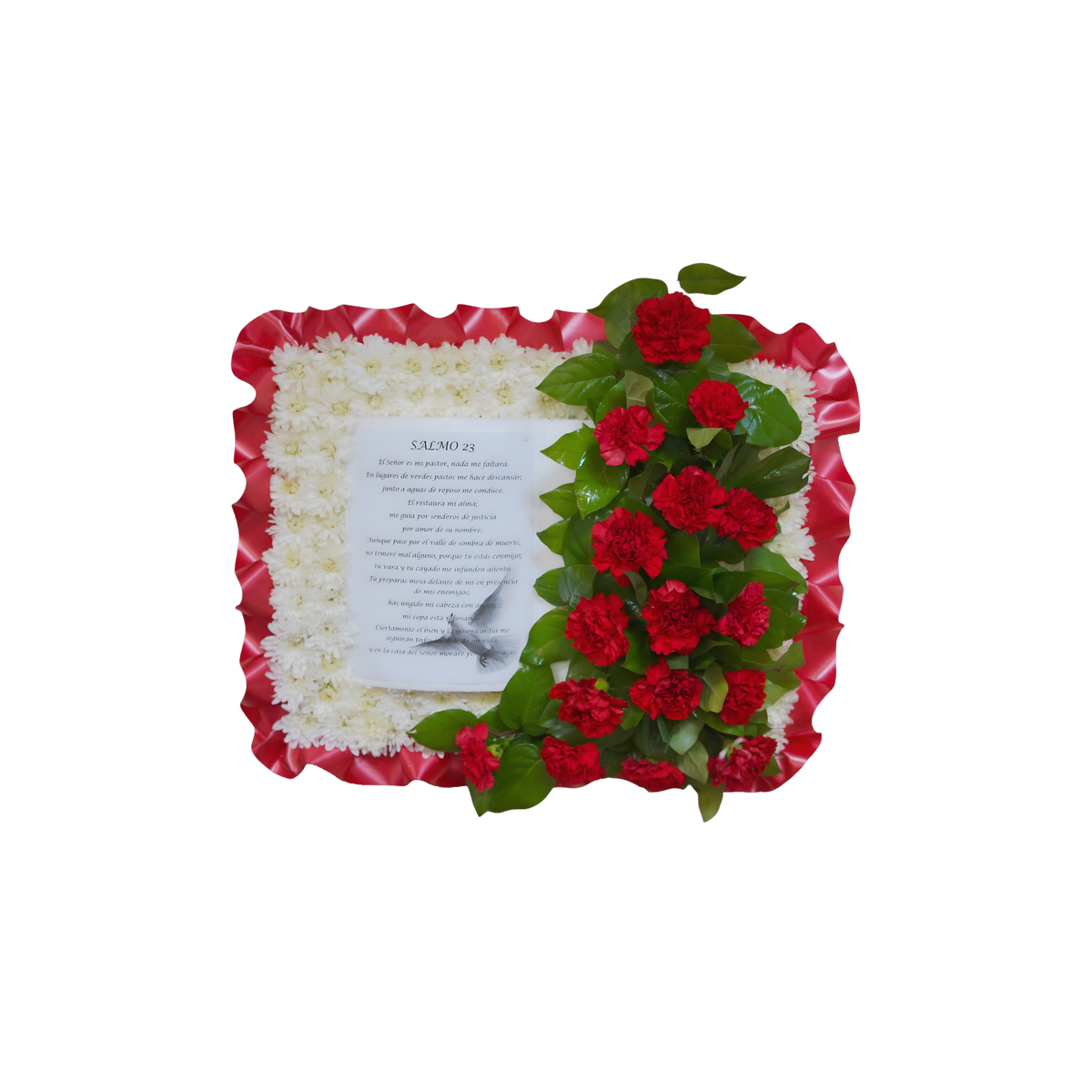 PL-01 Biblia de claveles y pompones