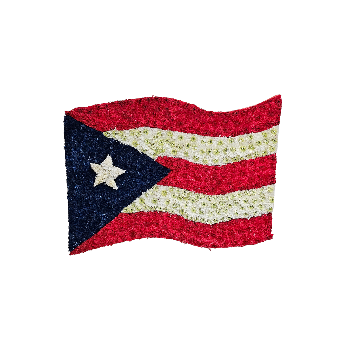 PL-12 Bandera de claveles y pompones