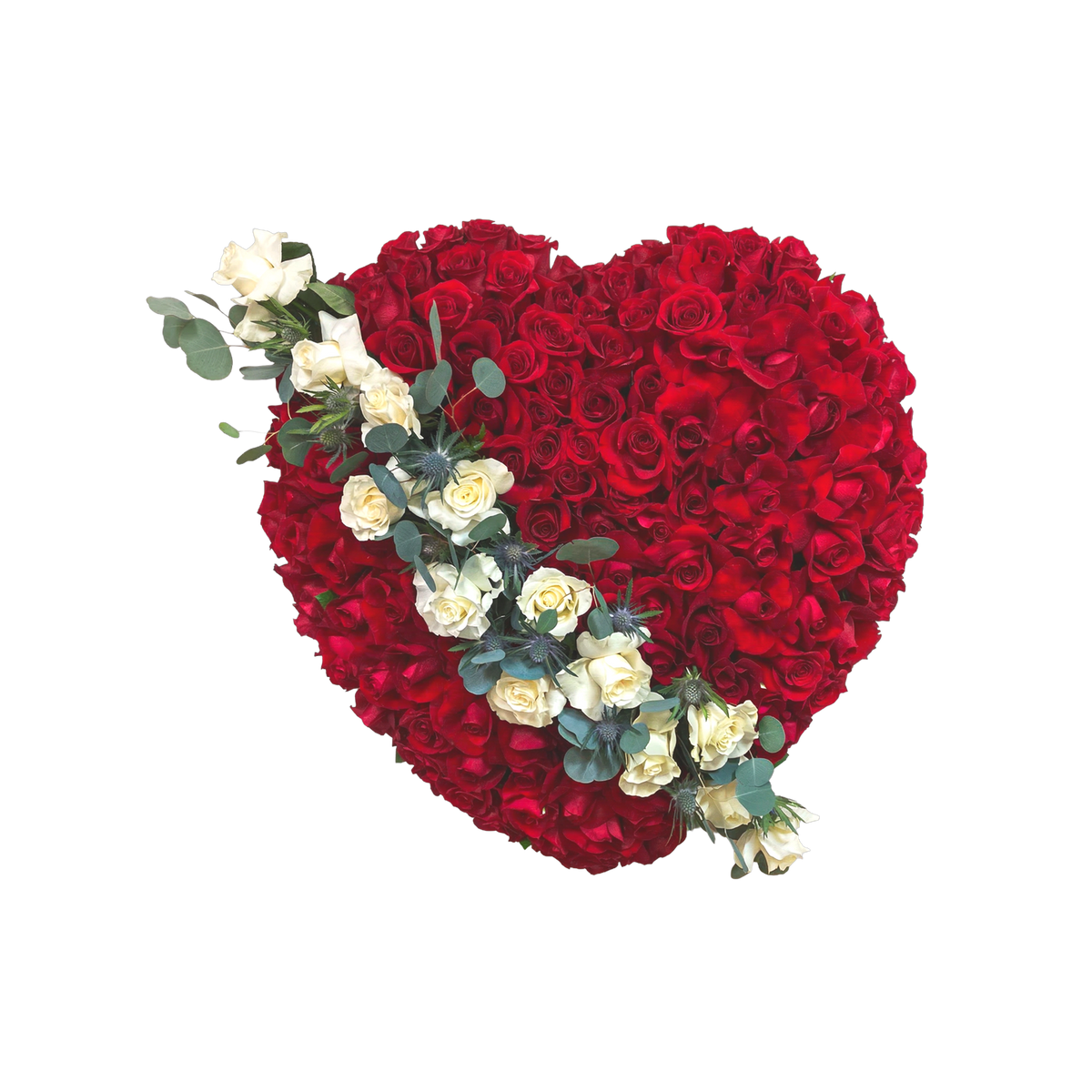 PL-13 Corazón de rosas