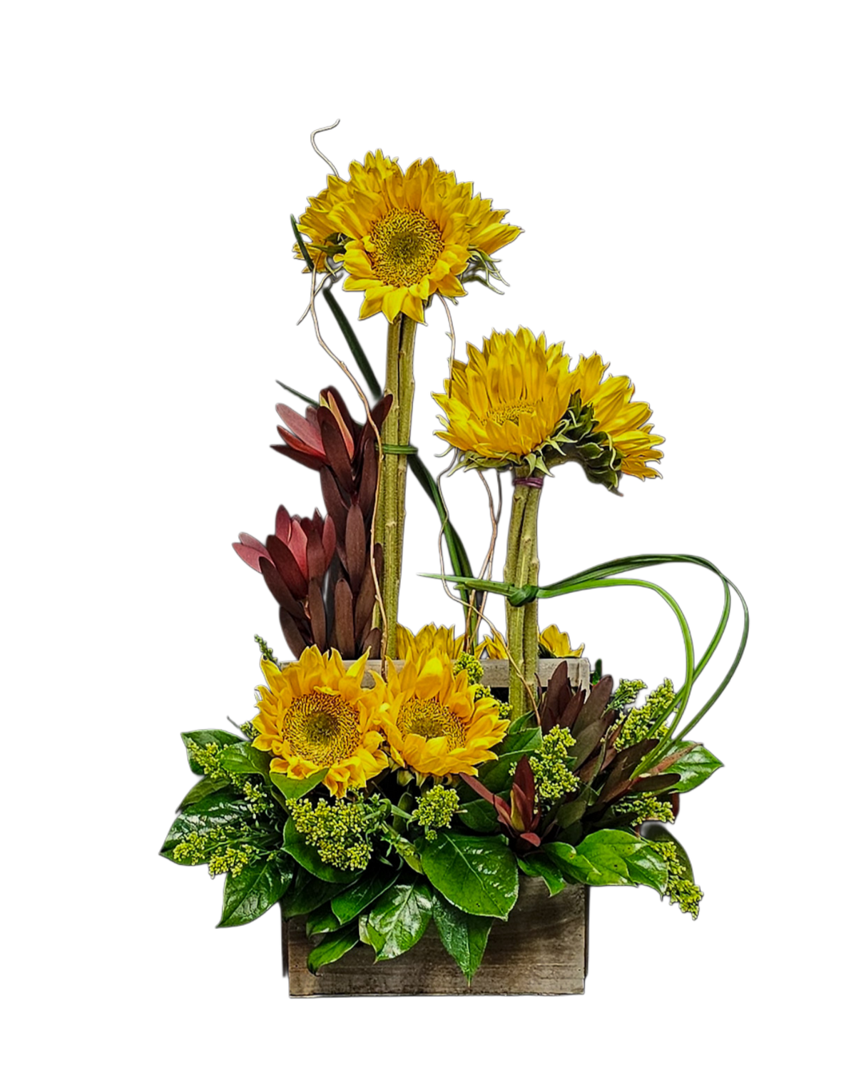 GS-7 Arreglo de girasoles