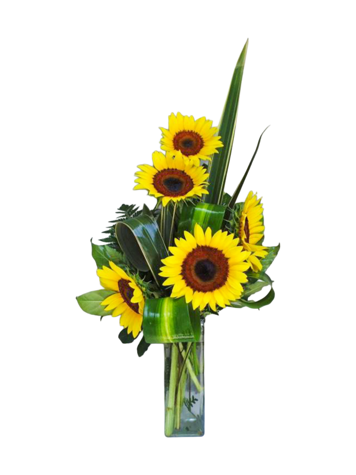 GS-3 Arreglo de girasoles
