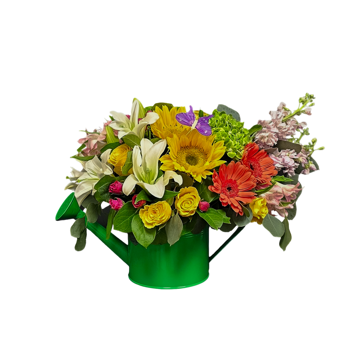 M-15 Arreglo con vase de regadera de rosas, gerberas, lirios, stocks, girasoles, alstroemerias y hortensias