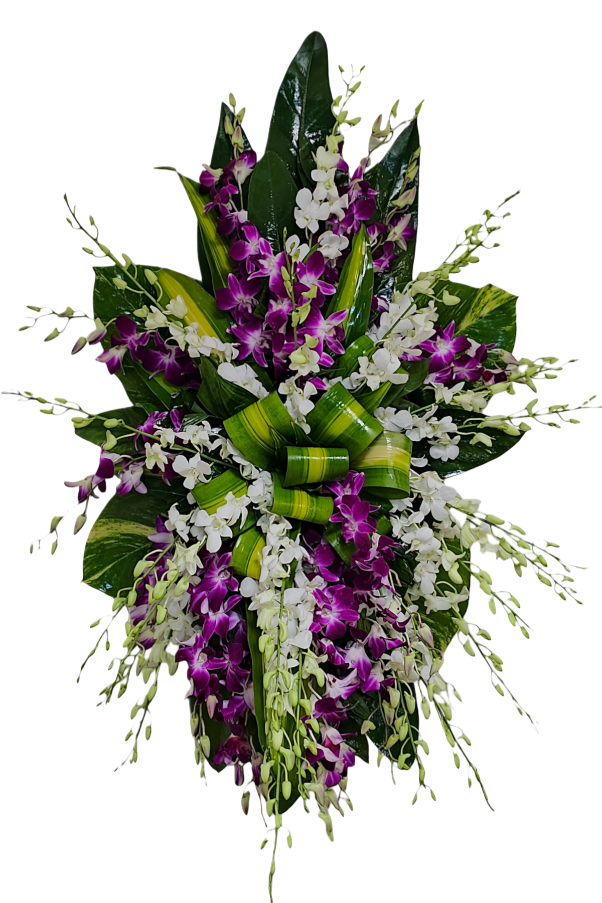 CR-28 Corona de orquídeas