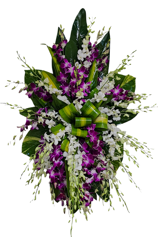 CR-28 Corona de orquídeas