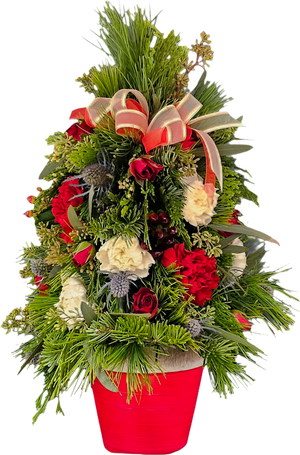 Navidad
