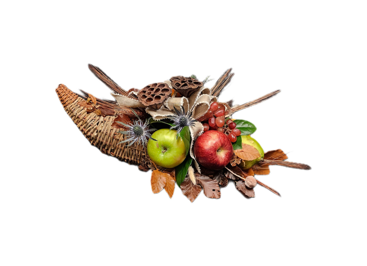 FL-11 Cornucopia con frutas