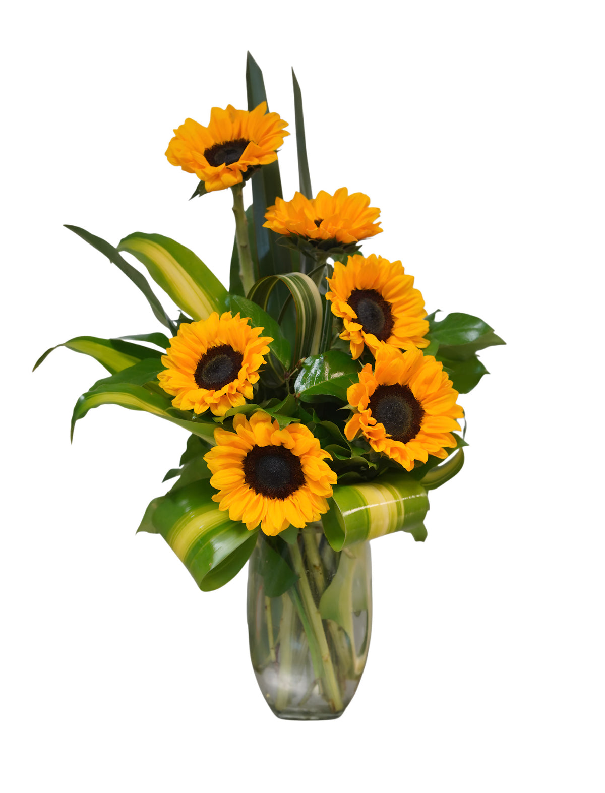 GT-60 Arreglo de 6 girasoles