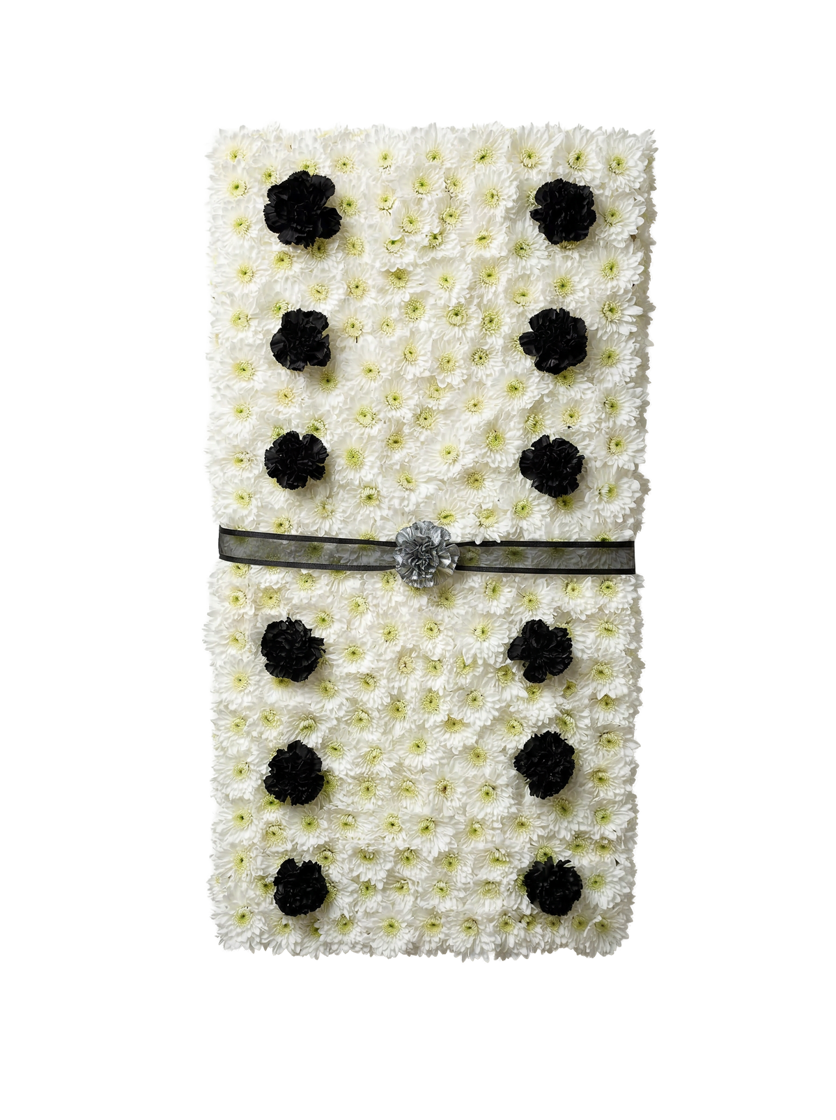 PL-18 Dominó