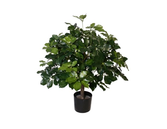 PA-4 Planta artificial: schefflera brasileña de 3 pies en maceta (P1742)
