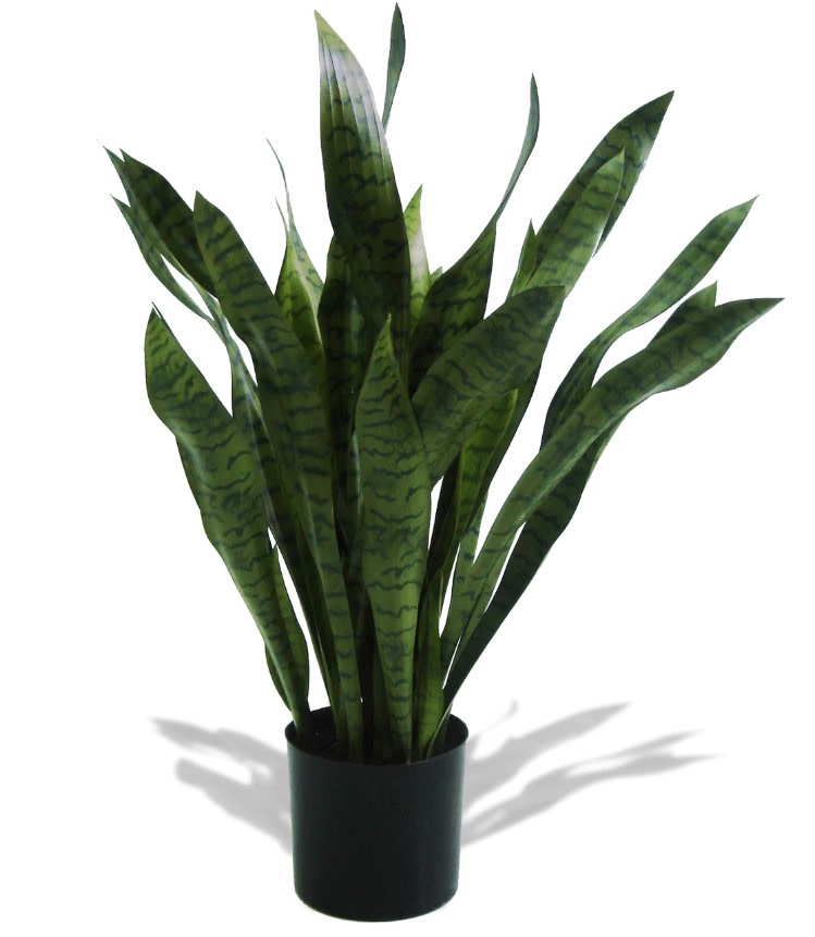 PA-6 Planta artificial: sansevieria brasileña de 3 pies en maceta (P1753)