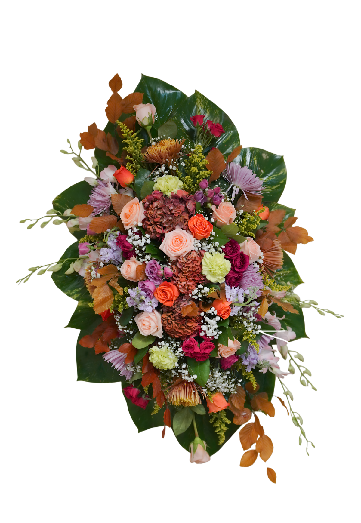 CFL-12 Corona de spiders, hortensias, rosas, claveles, stocks y orquídeas