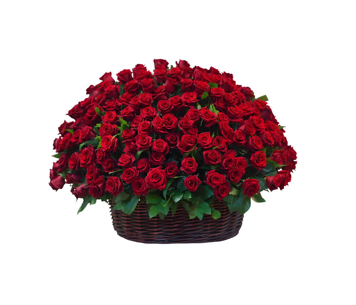 SV-100 Arreglo de rosas rojas